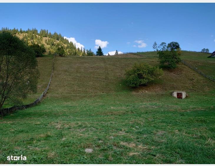 Teren de 1724 mp, în Ortoaia
