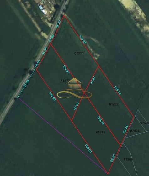 Teren Construcții intravilan de 19079 mp, în Narcisa