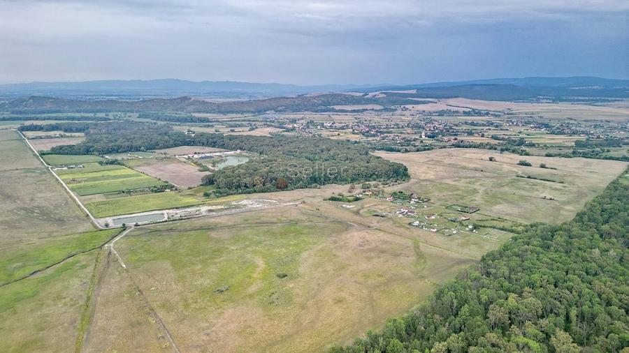 Teren Extravilan - 12