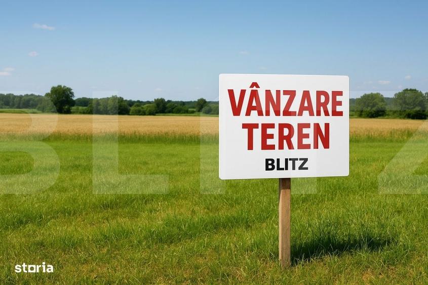 Teren 1.200 mp, 2 fronturi stradale Cornisa, 80 /mp, ideal casa - 1