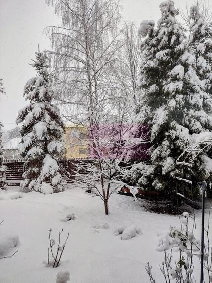 Vila de vanzare in Brebu - Zona Brebu Manastirei - 22