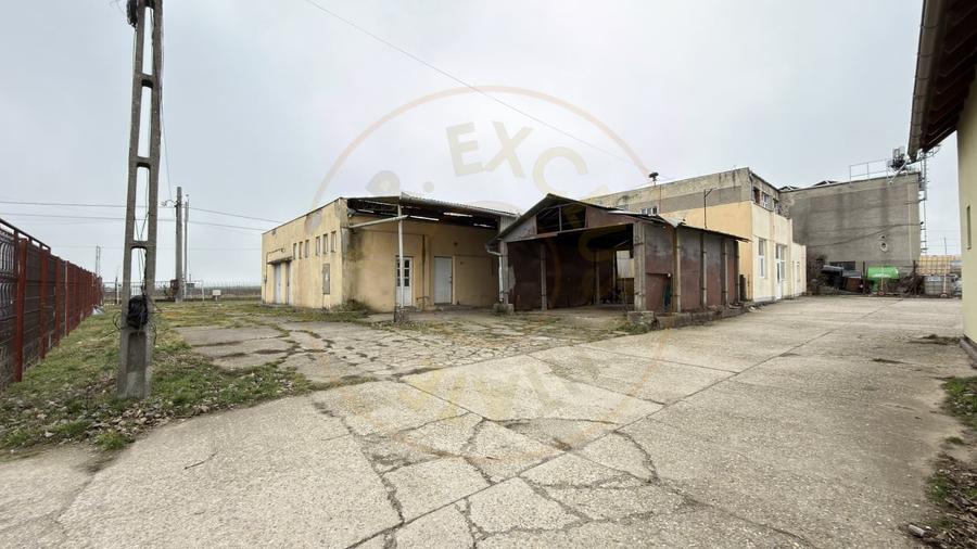 Inchiriere Cladire Productie, Depozitare 278 mp -Teren 1380 mp - Carei - 10