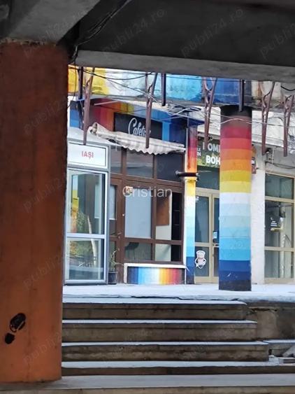 Spatiu comercial, 30 mp, str. Lapusneanu. Spatiu comercial, 30 mp, str. Lapusneanu.