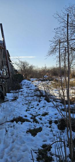 Teren intravilan 3500 mp com.Straoane - 6