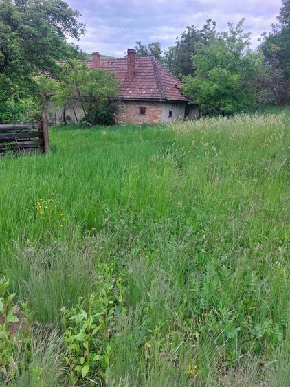 Casa cu teren intravilan de vanzare, loc. Mahaceni, Unirea, jud. Alba - 2