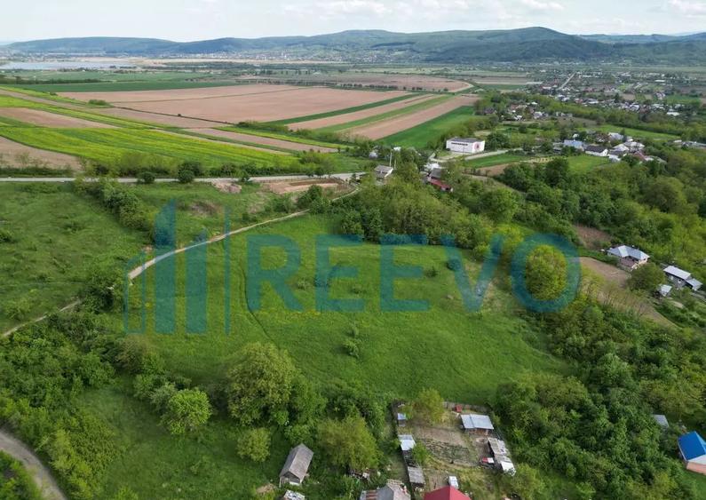 Teren de vanzare, Com. Racova, Str. Bradului, Bacau - 3