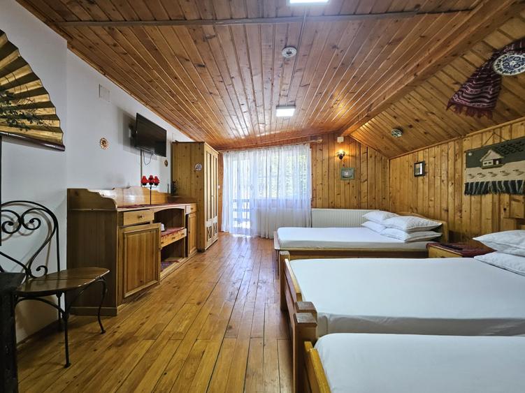 Vanzare vila Busteni, P+1+M / Zamora / pensiune / comision 0% - 7