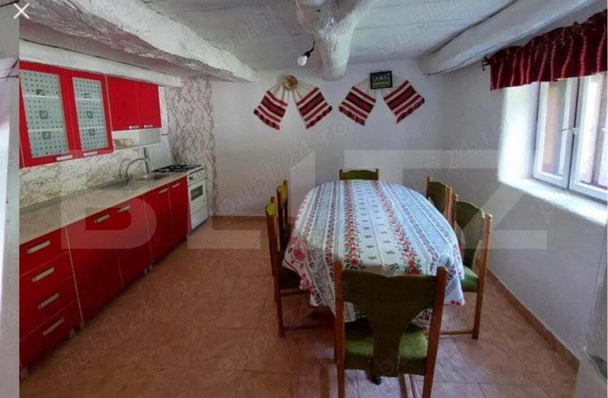 Casa individuala cu 3 camere, 217 mp utili,1600 mp teren,Intregalde - 4