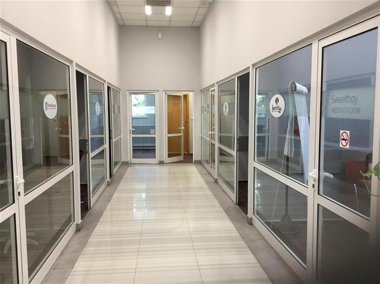 Birouri de mari dimensiuni de inchiriat - zona Domenii - 8