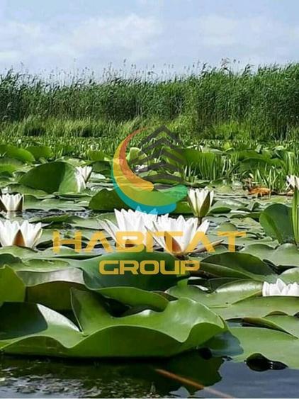 Teren intravilan Str Primaveri deschidere la lac Berceni - 3