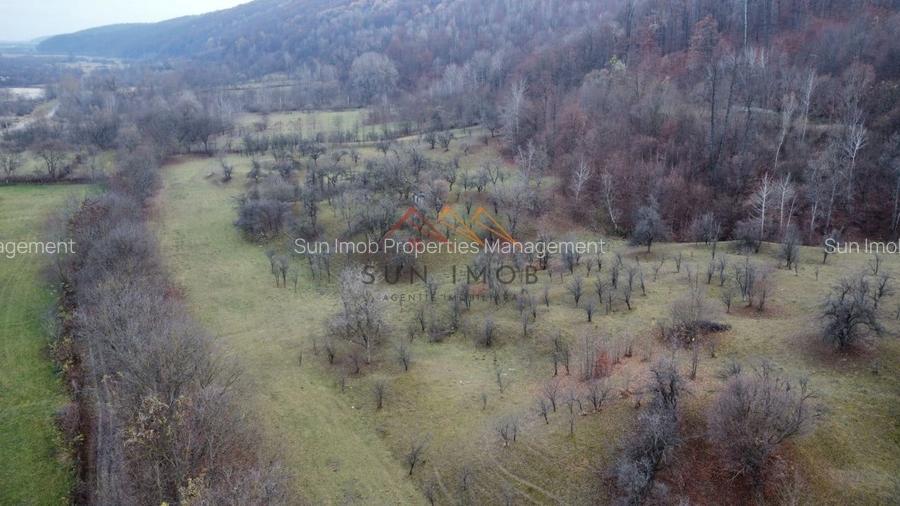 Teren Construcții intravilan de 36000 mp, în Provița de Jos Teren Construcții intravilan de 36000 mp, în Provița de Jos