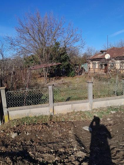 Teren intravilan, sat Trestieni, Com Ulmi, jud. Giurgiu - 4