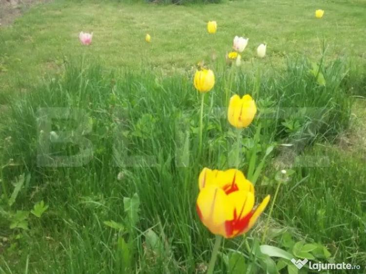 Vanzare Casa in Sacele - Locuin?a cu Teren Generos cu - 1