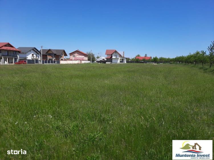 Teren 850 mp,Albota(Morlovani) - 6