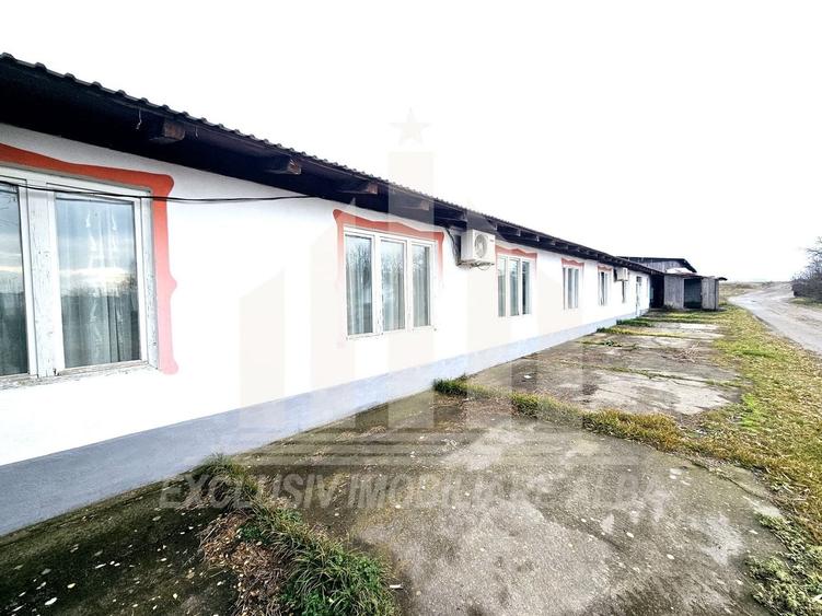 Spatiu industrial | De inchiriat | 597 mp | Vintu de Jos - 4