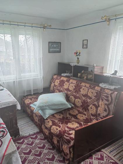 Vanzare casa pitoreasca, teren 2500mp - 4