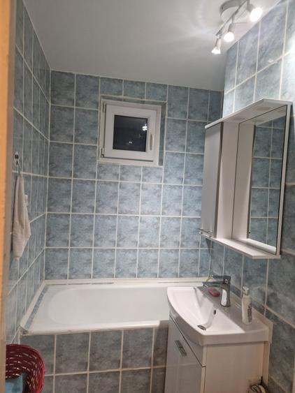 Lacul Tei, Grigore Moisil - 3