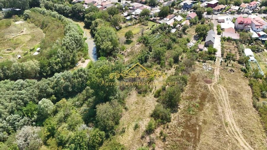 Teren Domnesti Vladimirescu, langa raul Ciorogarla - 2