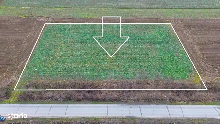 Teren 6600MP Cu Front Stradal 101 M La Intrare in Lazuri Str Botizului - 7