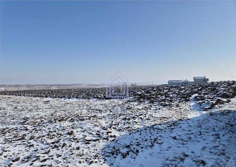 Teren extravilan Sf. Ilie - 2