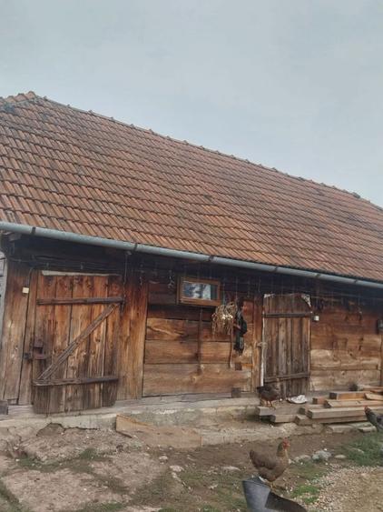 Casa de vanzare + anexe - 8