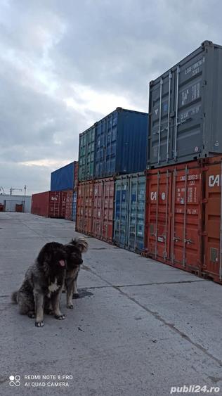 Inchiriere Spatii Depozitare in Containere Maritime - 4