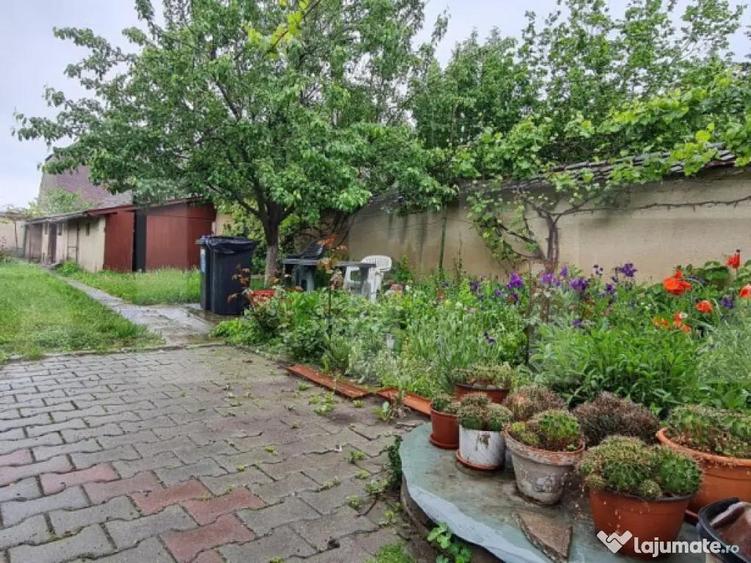 Oportunitate! Casa Bod pe un singur nivel, teren 980 mp pivn - 18