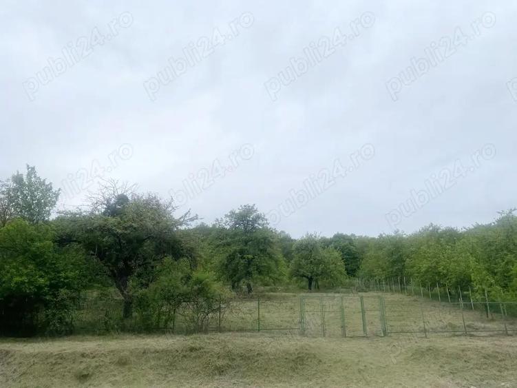 Casa Garbau (Cornesti), la 30 minute de Cluj Napoca cu teren 9000 mp2, fotovoltaic, foraj apa - 4