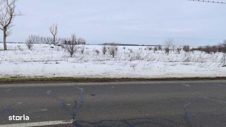 INCHIRIEZ teren in Frumusani - 3