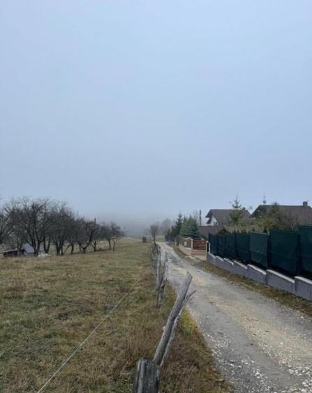 Teren Poiana Marului -Zarnesti -Brasov - 5