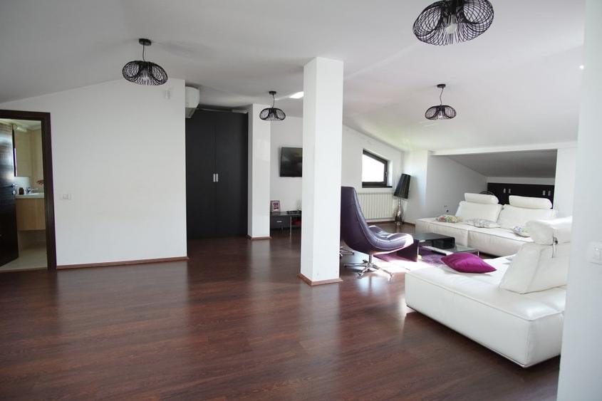 Andronache | Vila Deosebita la cheie | 2 corpuri |  Curte+parcare+ terasa+gratar - 33