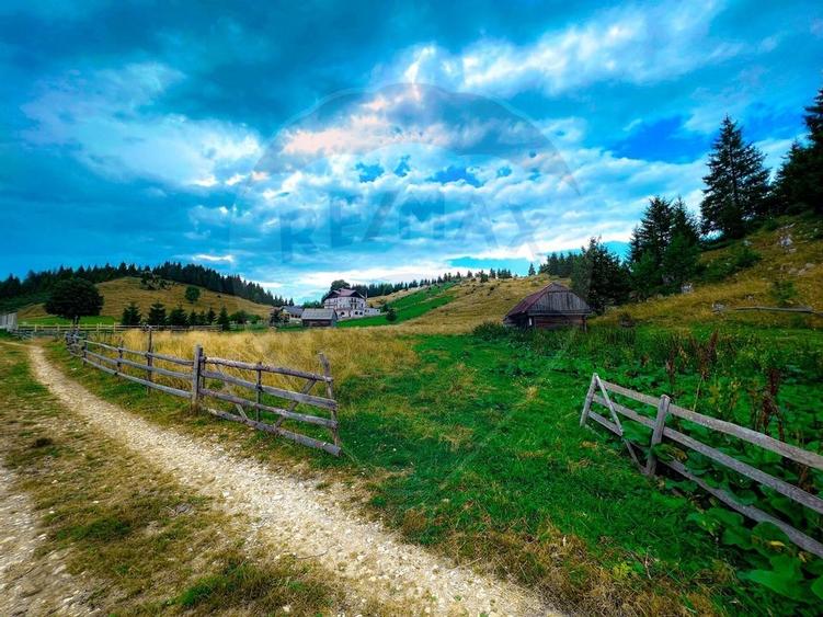 Teren de 7830mp de vanzare in Fundata! Comision 0% - 29