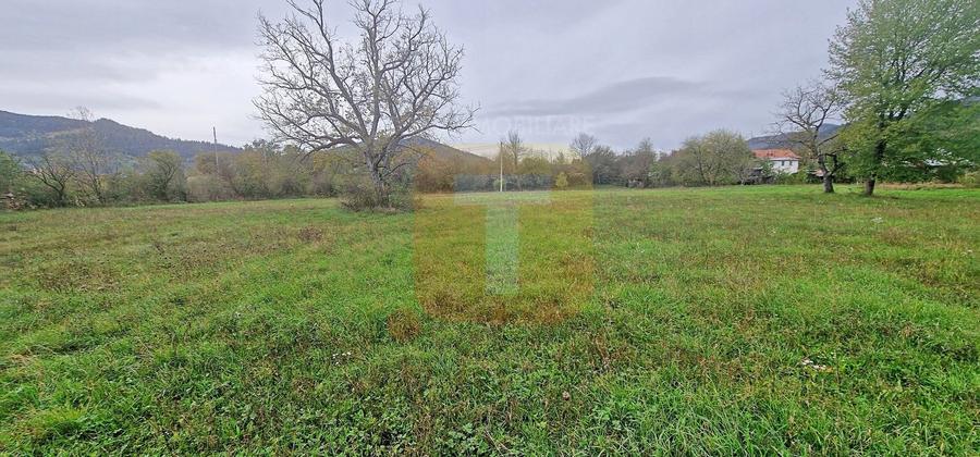 Teren intravilan de vânzare – 1.350 mp – Comuna Alexandru cel Bun - 10