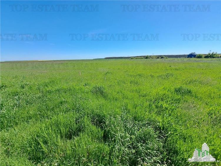 Loturi teren de vanzare Branesti/Vadu Anei - 6