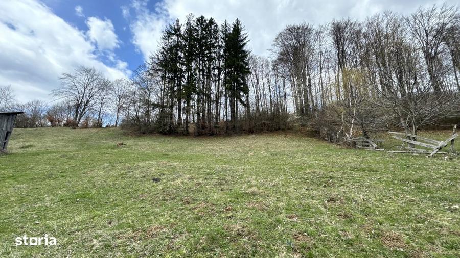 Teren panoramic de vanzare in Namaesti (Arges) 6.996 mp - 5