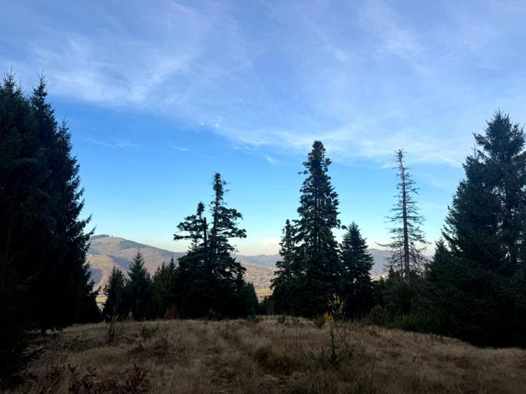 Vanzare 5,3 ha pasune deasupra Voronetului Suceava - Proiect Turistic - 28