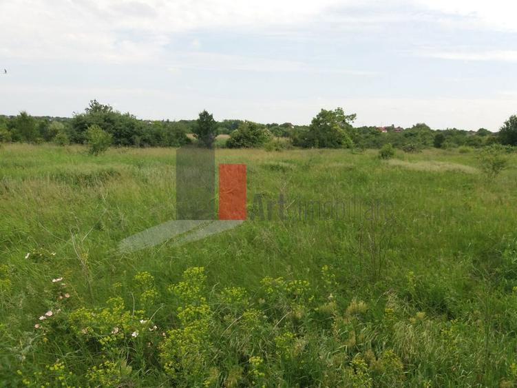 Teren Buftea cu iesire la lac - 3