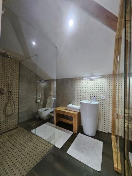 Vila individuala superba Mogosoaia! - 11