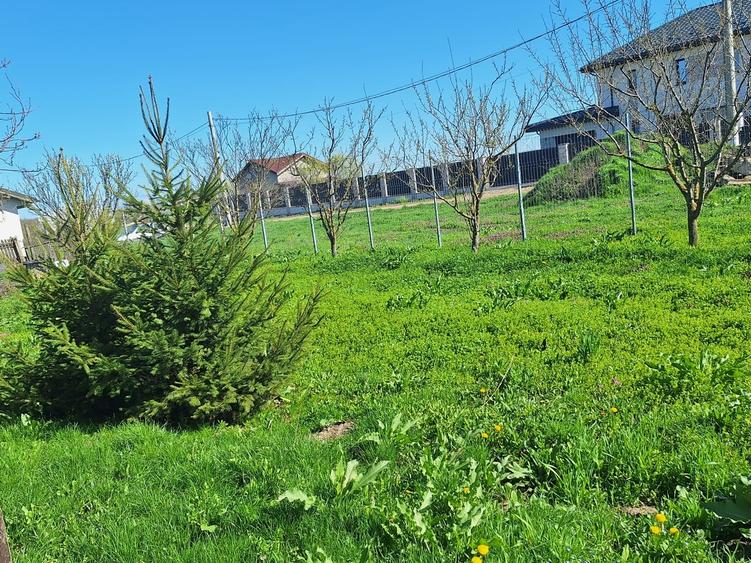 Gradistea, casa de vanzare - 1