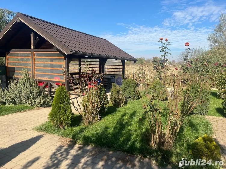 PROPRIETAR, Vand casa + 1800 mp teren + afacere la cheie - 4