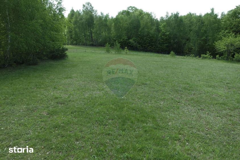TEREN DE VANZARE IN PRELUCA NOUA - 9