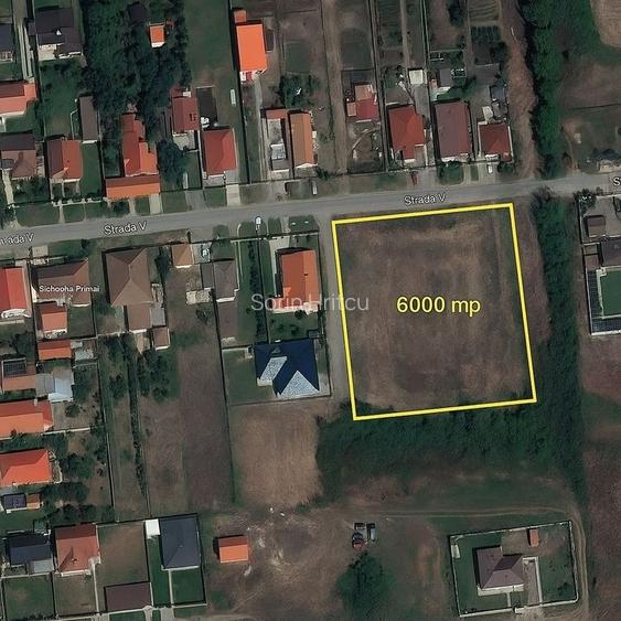 Ocazie! Teren 6.000 mp cu toate utilitățile - Săcălaz, zonă excelentă