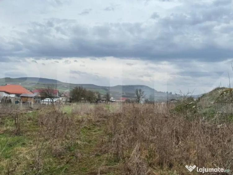 Teren Pentru Constructii 9292 mp- zona Cuzdrioara - 2