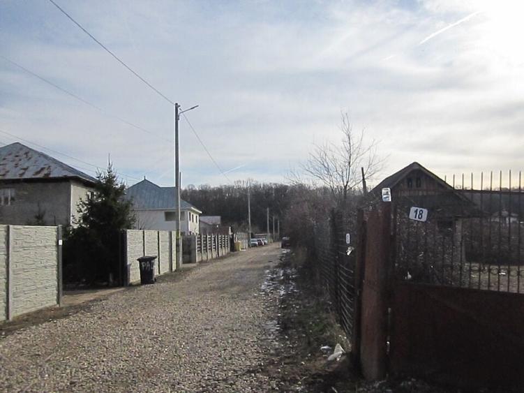 Domnesti-Teghes-Padure - 2