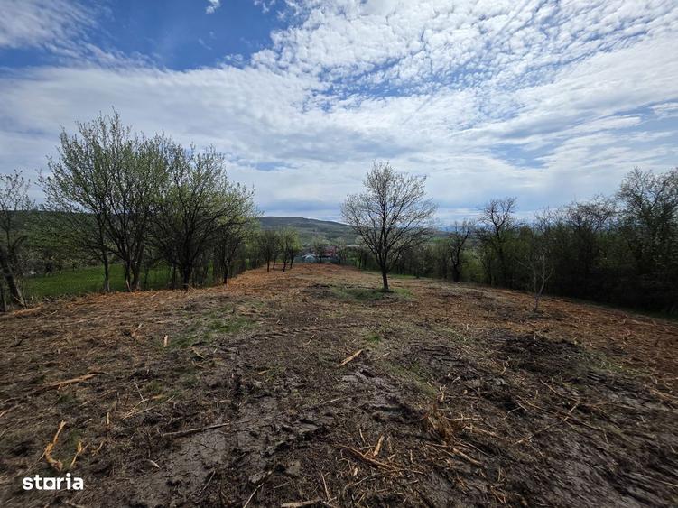 De vanzare teren intravilan Barsau, jud. Hunedoara - 3