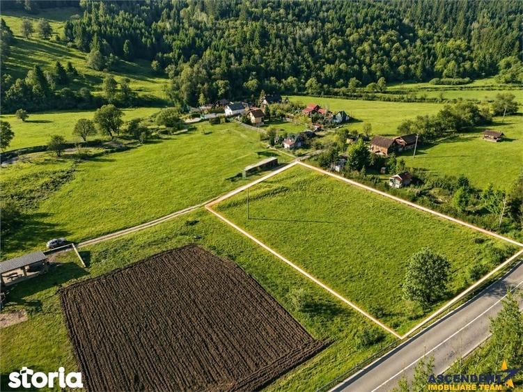 Teren cu potential, 3.100 mp, remarcabila incadrare, langa drumul prin - 2