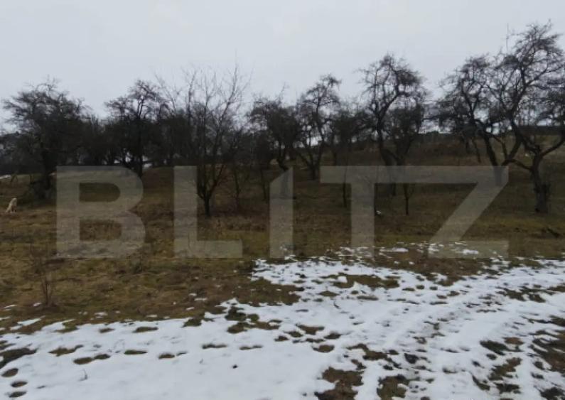 Teren intravilan in Mihai Viteazu, langa Turda, 2 parcele d - 4