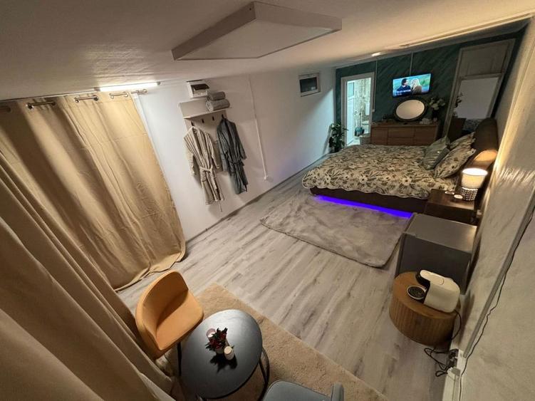 Studio de lux de inchiriat Bascov - 2