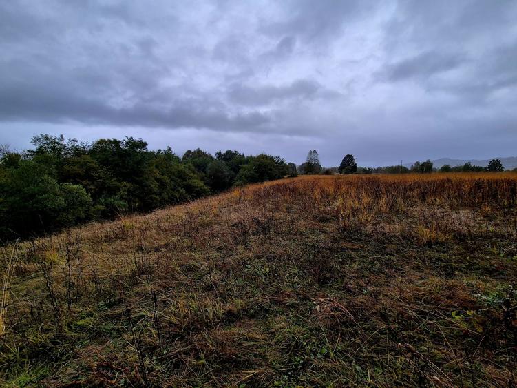 Comision 0%, teren extravilan 12497 mp Sinca Noua - 13