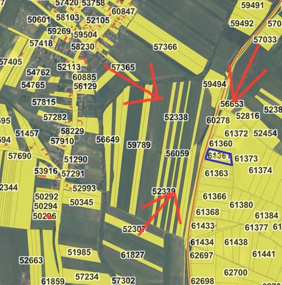 Teren 5.800mp extravilan Ludus/Rosiori - 3
